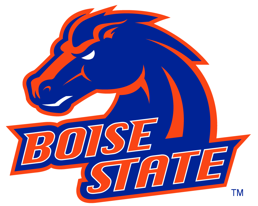 Boise State Broncos 2002-2012 Alternate Logo v5 t shirts iron on transfers